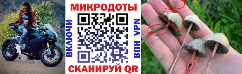 Галлюциногенные грибы прущие грибы  Купить  Коркино 